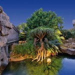 Bioparc Fuengirola at Night Bioparc Fuengirola Zoo at Night
