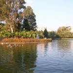 Paloma Park, Benalmadena Paloma Park, Benalmadena
