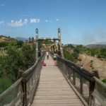 Great Bridge of Africa at Selwo Aventura
