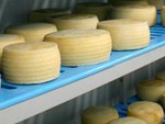 Cheese Factory