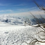 Sierra Nevada Views