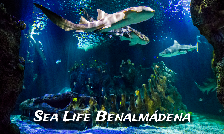 Sea Life Benalmadena