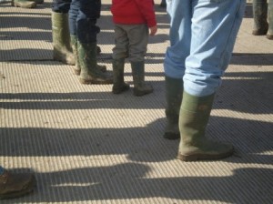 Ploughing Championship