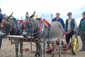 National & European Ploughing Championship