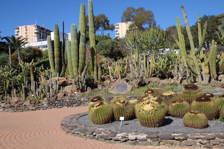 Cactus garden at Paloma Park