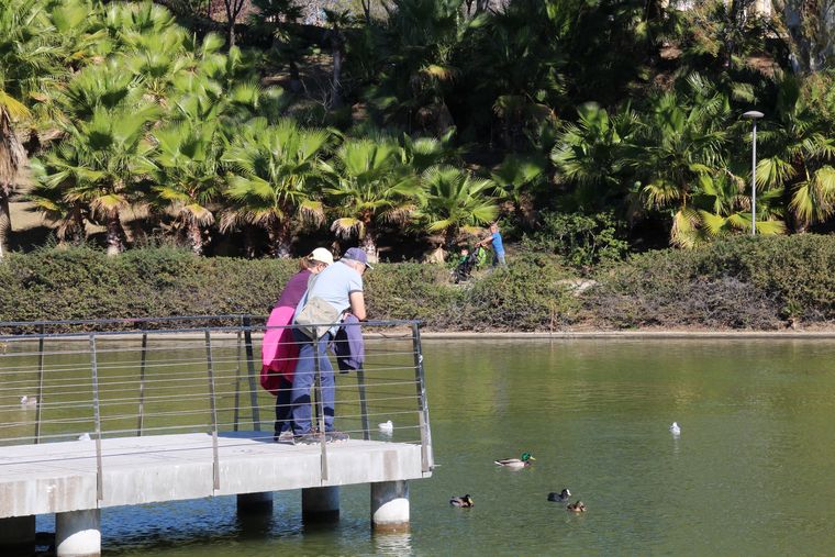 Pier at Paloma Park