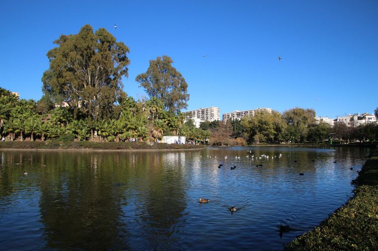 The lake at Paloma Park