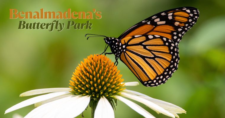 Butterfly Park in Benalmadena