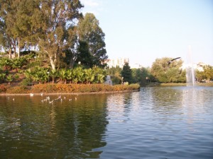 Paloma Park, Benalmadena