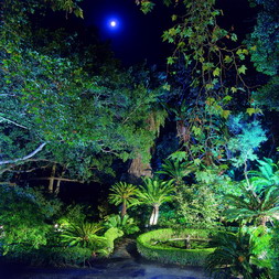 La Concepcion Botanical Gardens at Night