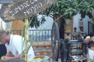 Mojitos at the Luna Mora in Guaro