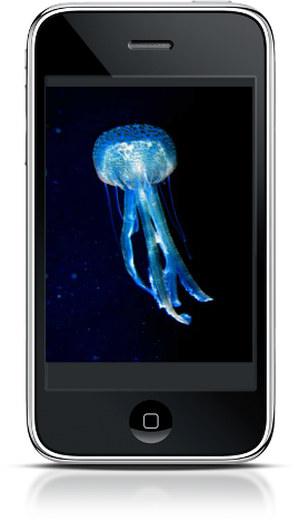 jellyfish app