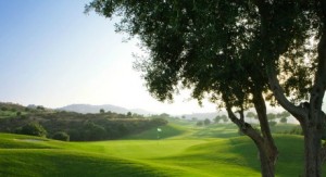 la cala golf