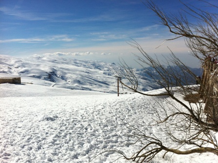 Sierra Nevada Views