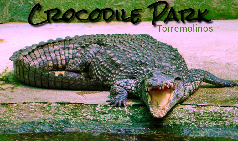 Crocodile Park in Torremolinos