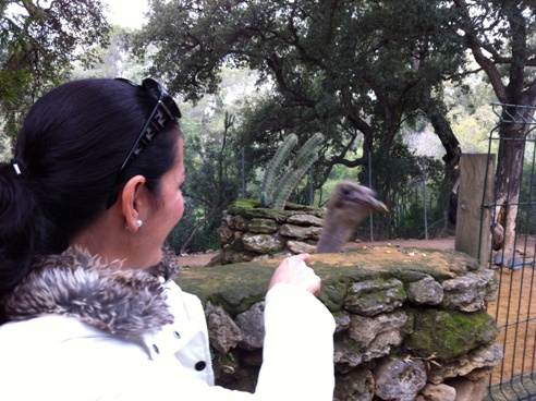 Feeding an Ostrich at Zoo de Castellar