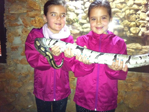 Holding a Python at Zoo de Castellar