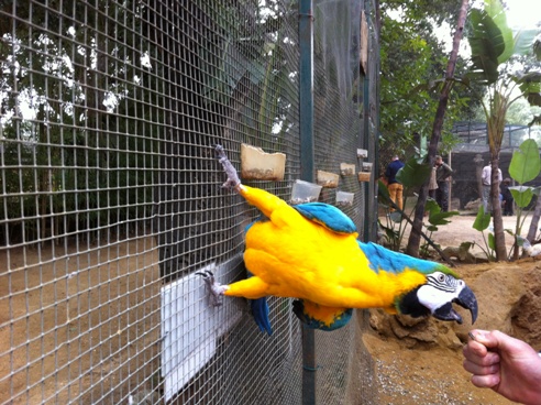 Feeding the parrots at Zoo de Castellar