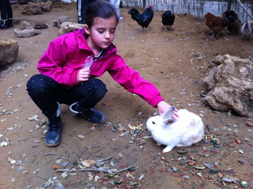 Feeding rabbits at Zoo de Castellar