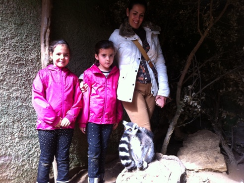 Lemurs in Zoo de Castellar