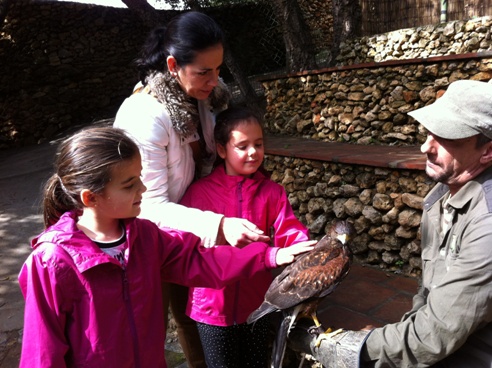 touching an eagle at Zoo de Castellar