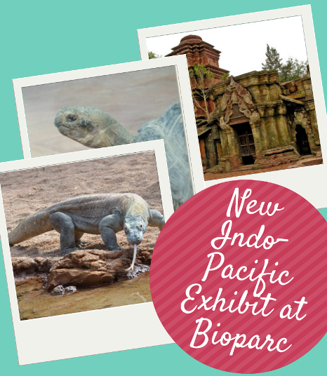 New Indo-Pacific Exhibit at Bioparc Fuengirola