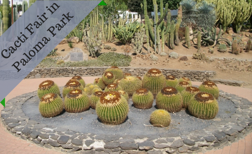 Cacti Fair in Paloma Park