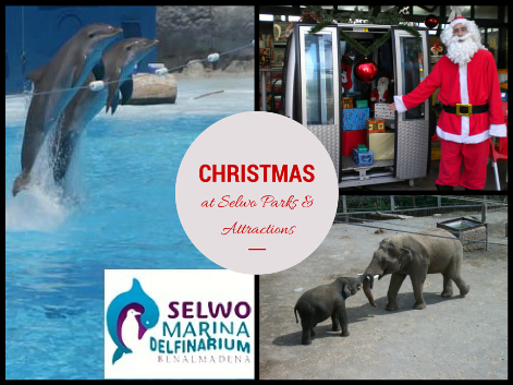 Christmas at Selwo Parks & Attractions