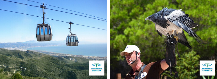 The cable car and birds of prey exhibition in Benalmadena