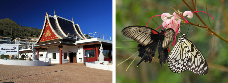 The Butterfly Park in Benalmadena