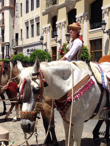 Lady on horseback at Ronda Romantica Fair