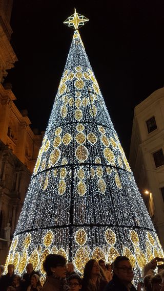 Christmas tree in Plaza de la Constitucion