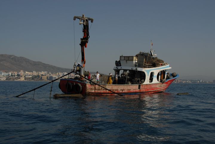 The boat used to farm mussels in Benalmadena