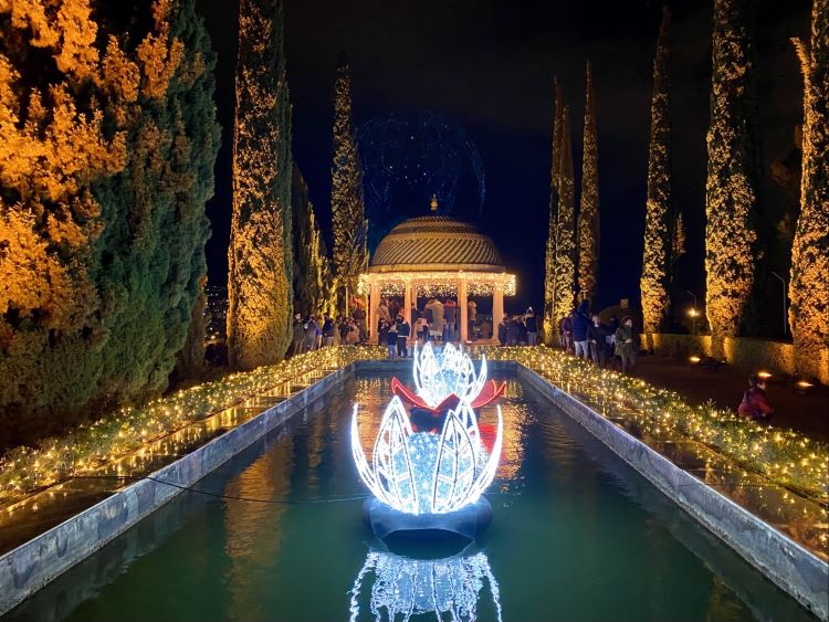 Malaga Botanical Gardens at Christmas