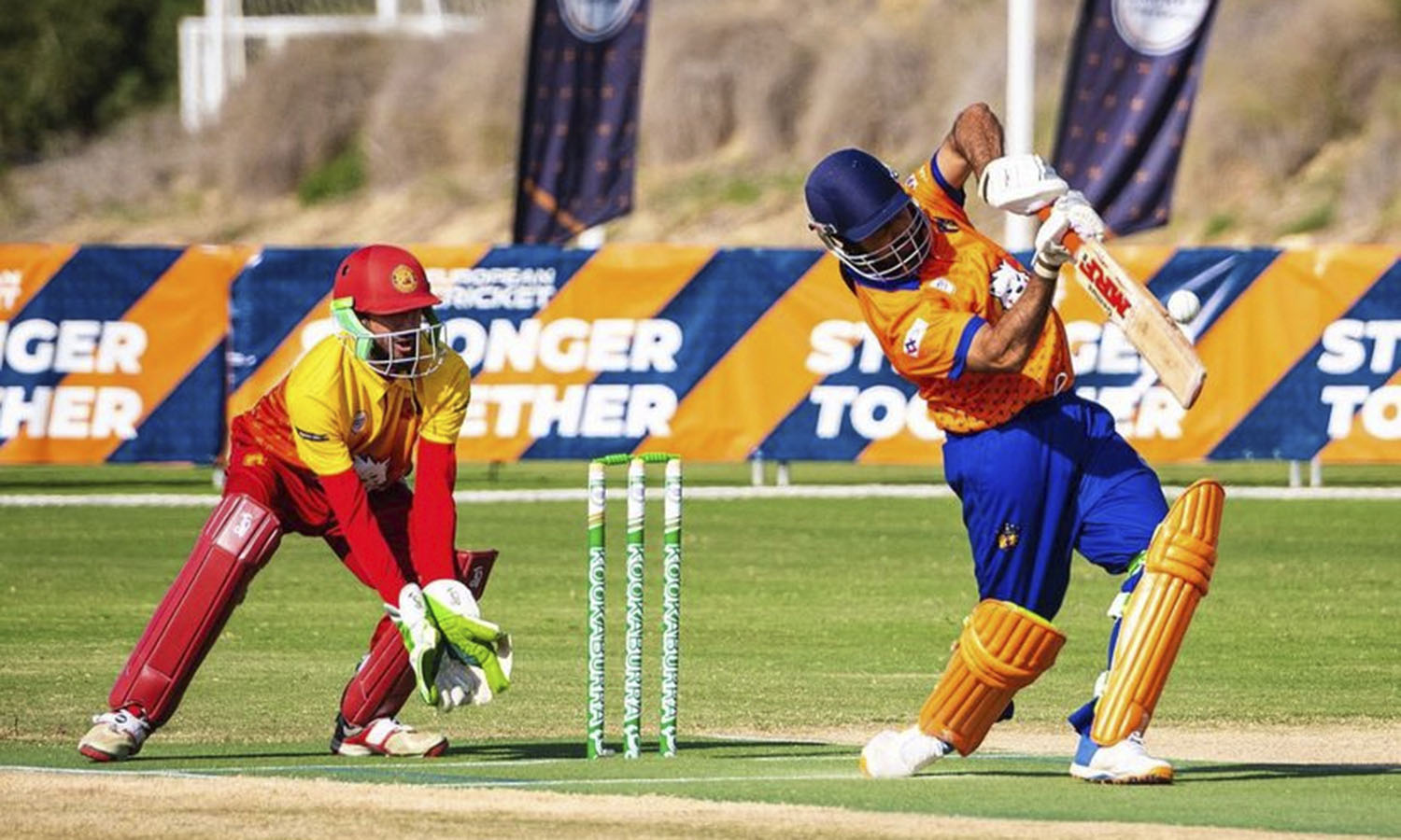 Players playing cricket